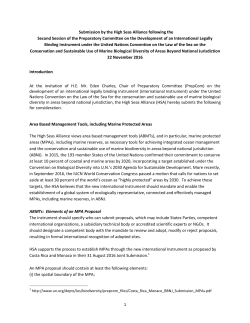 1 Submission by the High Seas Alliance following the Second