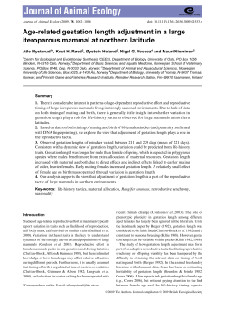 Age-related gestation length adjustment in a large iteroparous