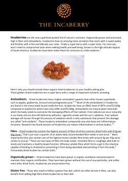 Introduction to Incaberry