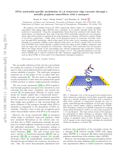 DNA nucleotide-specific modulation of\ mu A transverse edge