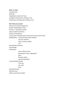 Characteristics Definition Polyphyletic evolution of trees Ecological