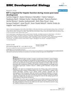 KIT is required for hepatic function during mouse post