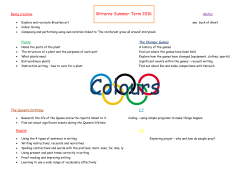 Bitterns Parent Plan Summer 2016