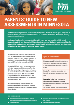 Minnesota Assessment Guide