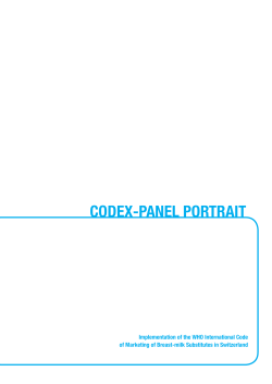 CODEX-PANEL PORTRAIT
