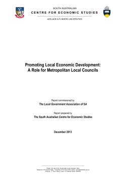Promoting Local Economic Development