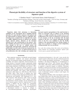 Phenotypic flexibility of structure and function of the digestive system