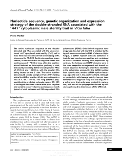 Nucleotide sequence, genetic organization and expression strategy