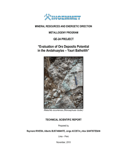 Evaluation of Ore Deposits Potential in the Andahuaylas