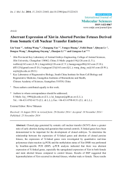 Full-Text PDF
