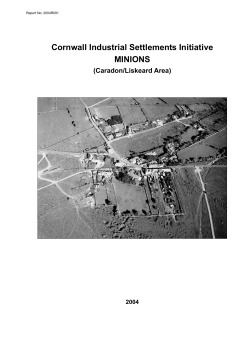 CISI Minions report