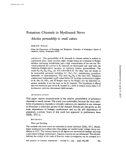 Potassium Channels in Myelinated Nerve Selective permeability to
