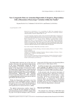 New Cytogenetic Data on Armenian Buprestids