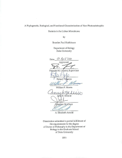 Doctoral Dissertation - DukeSpace