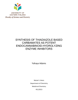 Open the publication - UEF Electronic Publications