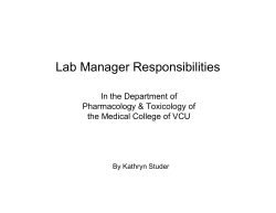 Kathryn Studer`s Presentation 2008