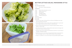 BUTTER LETTUCE SALAD, PARISIENNE STYLE