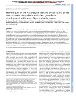 Homologues of the Arabidopsis thaliana SHI/STY