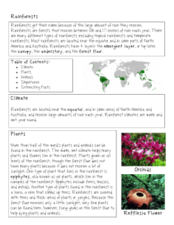 Rainforests Plants Climate Orchids Refflesia Flower