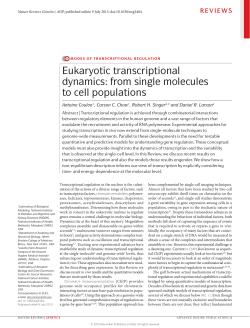 Eukaryotic transcriptional dynamics: from single molecules to cell