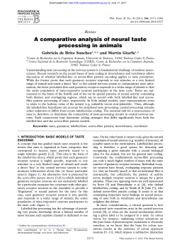 A comparative analysis of neural taste processing in animals