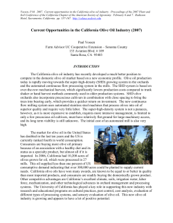 Current Opportunities in California Olive Oil Industry (2007)