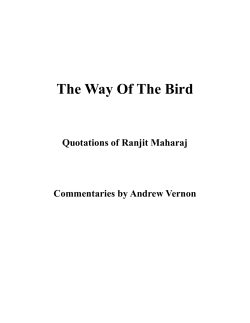 Ranjit Maharaj "Way of the Bird"