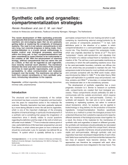 Synthetic cells and organelles: compartmentalization strategies