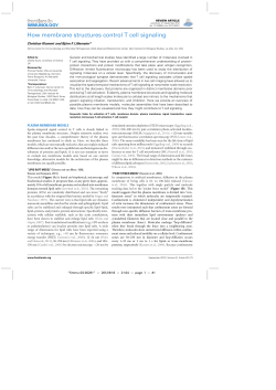 How membrane structures control T cell signaling