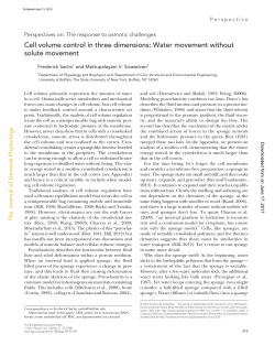 Cell volume control in three dimensions: Water movement without