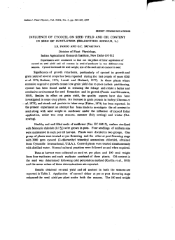 INFLUENCE OF CYCOCEL ON SEED YIELD AND OIL CONTENT