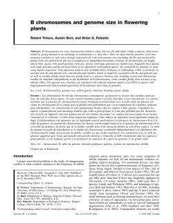 B chromosomes and genome size in flowering