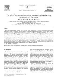 The role of trans-membrane signal transduction in turing