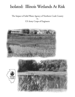 Isolated: Illinois Wetlands At Risk