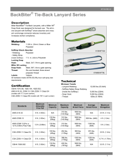 BackBiter Tie-Back Lanyard Series