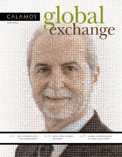 fall 2013 - Calamos Investments