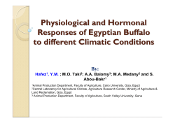 Physiological and Hormonal Responses of Egyptian Buffalo to
