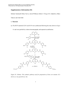 Supplementary Information (SI)