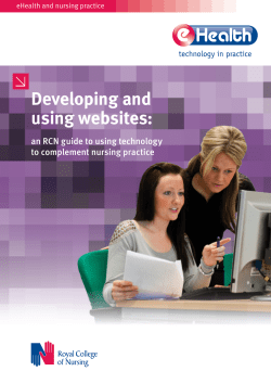 Guide - developing and using websites
