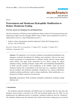 Pretreatment and Membrane Hydrophilic