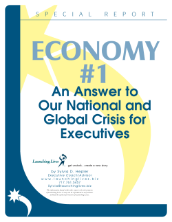 Economy #1 - Launching Lives LLC