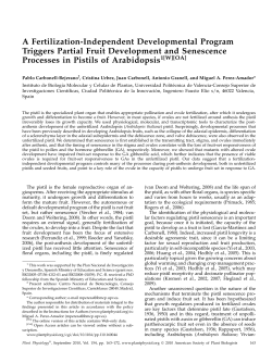 A Fertilization-Independent Developmental