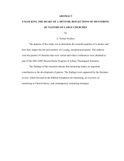 Unlocking the heart of a mentor : reflections of mentoring by pastors