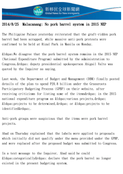 Malacanang: No pork barrel system in 2015 NEP