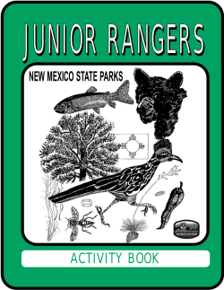JUNIOR RANGERS