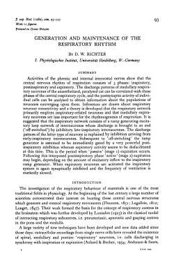 generation and maintenance of the respiratory rhythm