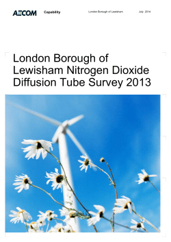 2013 diffusion tube annual report