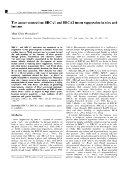 BRCA1 and BRCA2 tumor suppression in mice and humans