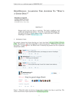 deepdoggo: learning the answer to &ldquo;who`s a good dog?&rdquo;