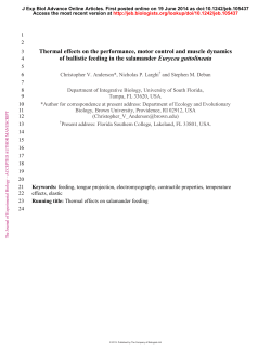 Thermal effects on the performance, motor control and muscle